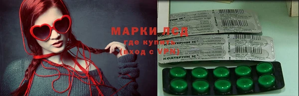 гидра Михайловск