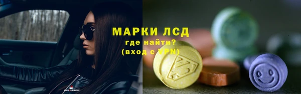 гидра Михайловск