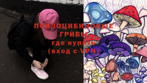 тгк Белокуриха