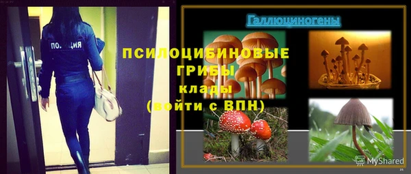 гидра Михайловск